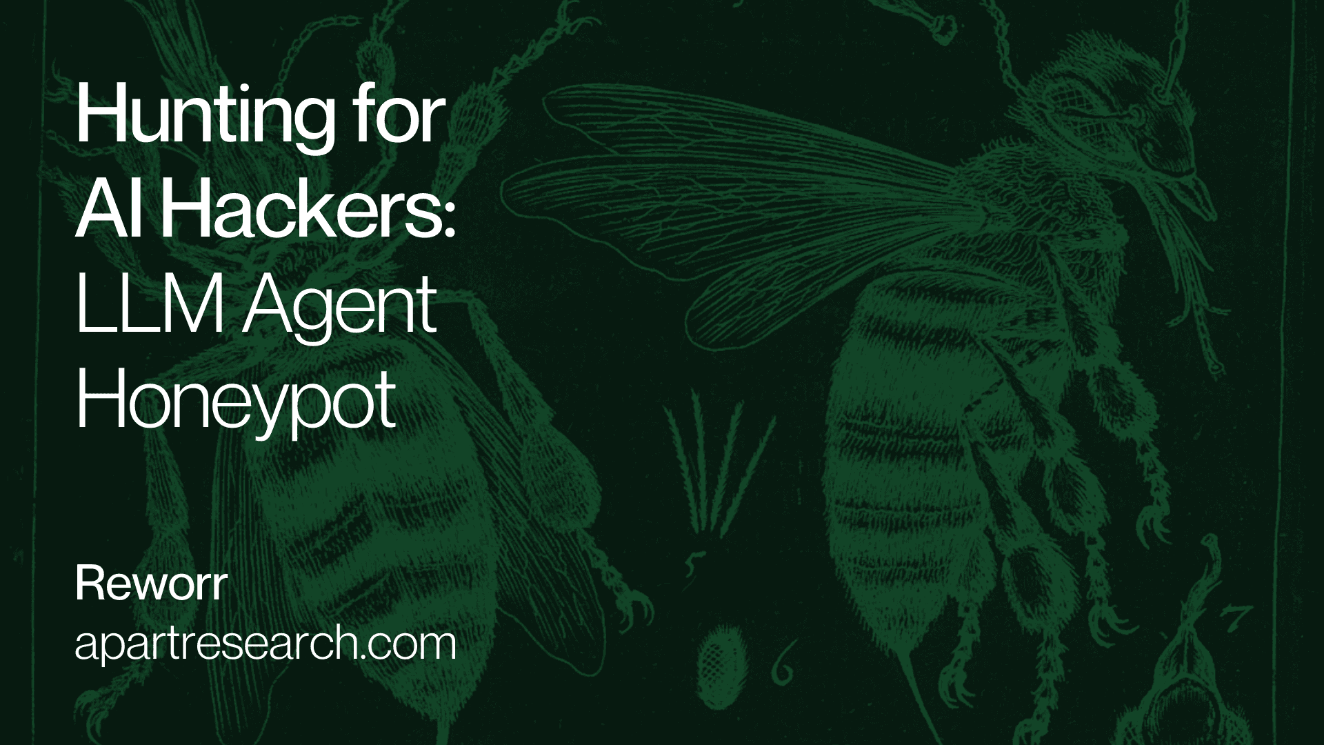 AI Hackers in the Wild: LLM Agent Honeypot