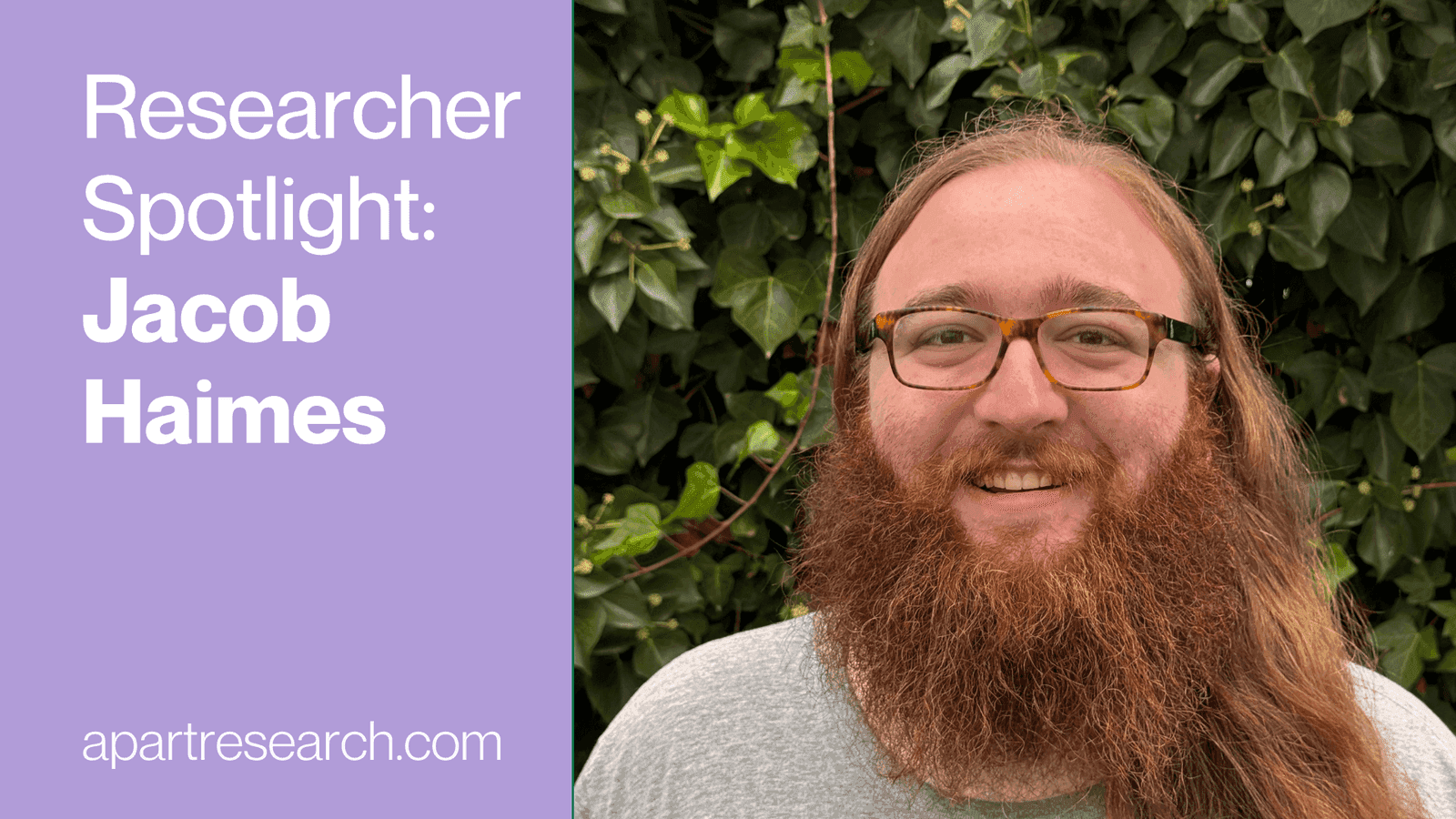 Researcher Spotlight: Jacob Haimes